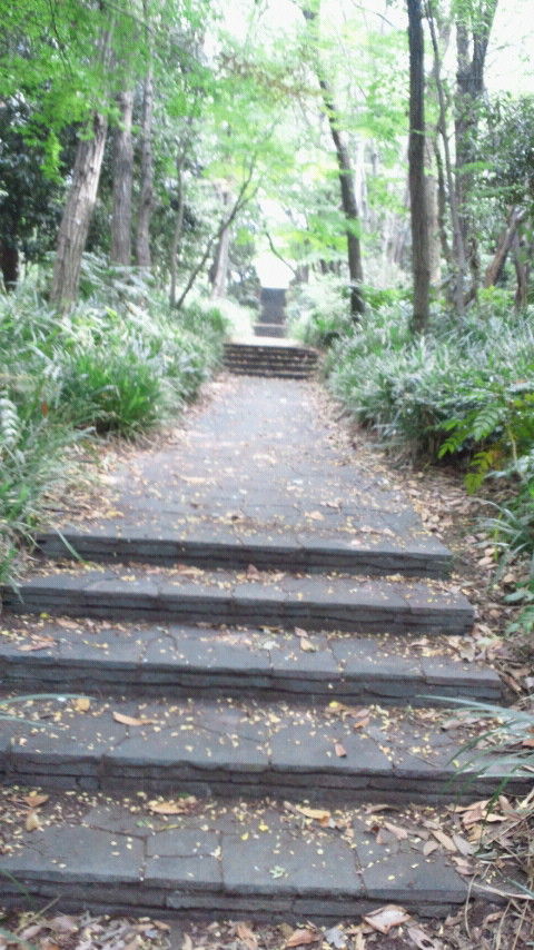 青海中央ふ頭公園8