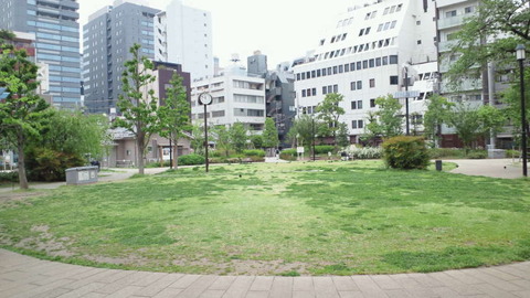 NEC_0027