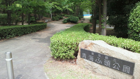 青海中央ふ頭公園1