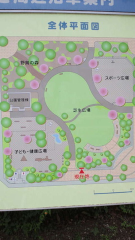 NEC_0024