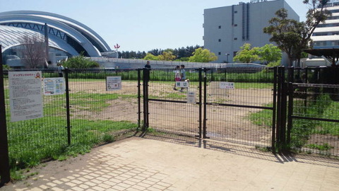 NEC_0064