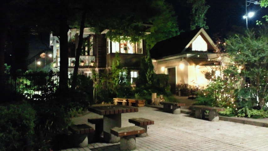 夜の日比谷公園を探索 ライトアップされた雲形池のモミジの紅葉 公園たんさく隊