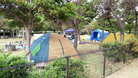 城南島海浜公園13第一キャンプ場