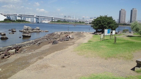 お台場海浜公園10