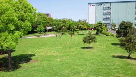 NEC_0049