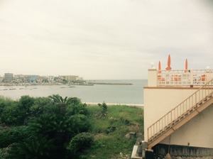 IMG_1431