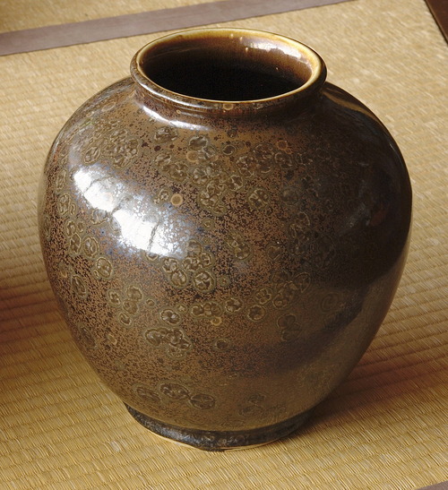 DSC_9821_1086ookiikabinn_Ed01