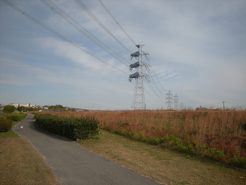 DSCN4929_293koushosagyou_Ed01