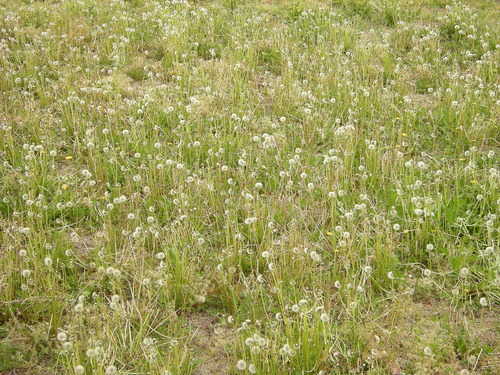 DSCN4573_120watage_Ed01