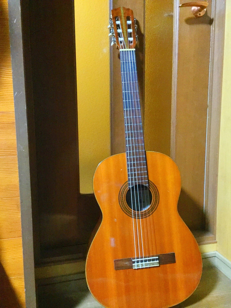 鈴木 第34号 （クラシックギター） : Koufukutei 「幸福亭」 豊明市