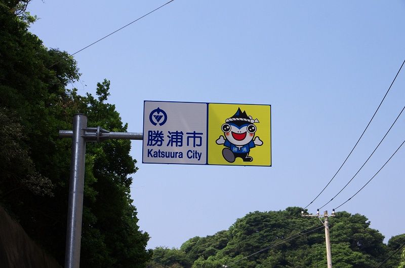 IMGP7098