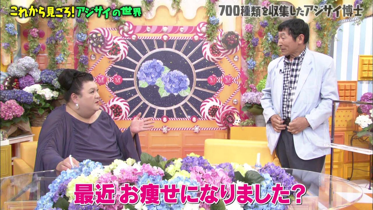明石家さんまに似てるアジサイマニア 幸福の光 大谷派
