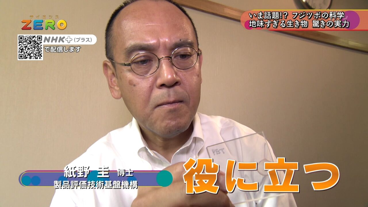 髪関連の面白い名前 幸福の光 大谷派 髪関連の面白い名前 幸福の光 大谷派