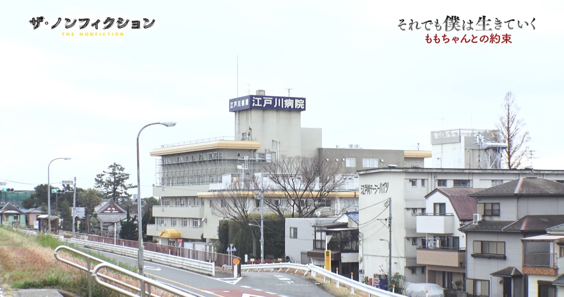 ザ ノンフィクションで出てきた江戸川病院の面白いドアの絵 幸福の光 大谷派