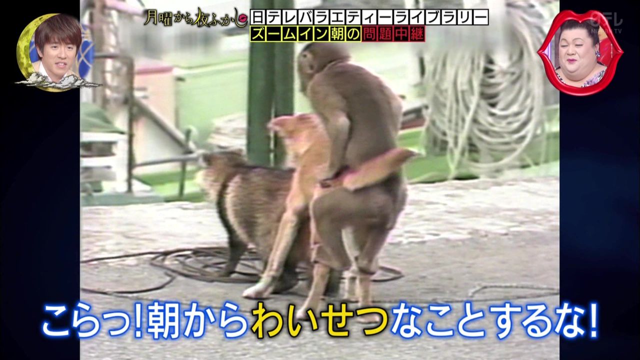 犬と交尾する猿 幸福の光 大谷派