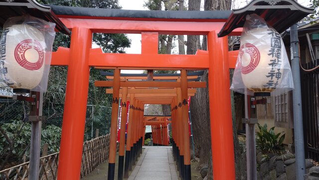 鳥居が連なる上野のパワースポット 花園稲荷神社 忍岡稲荷神社 Sfc修行 ときどき観光