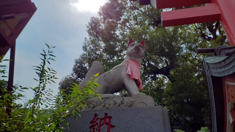 20250806_132203
