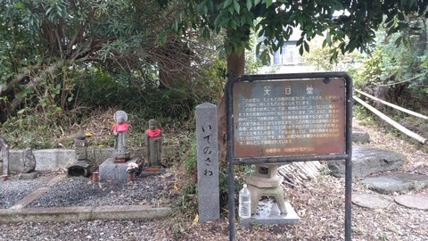 DSC_2353