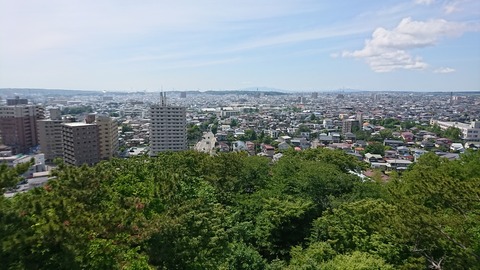 DSC_4551