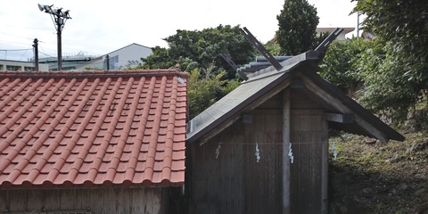 DSC_6600