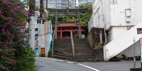 DSC_4072