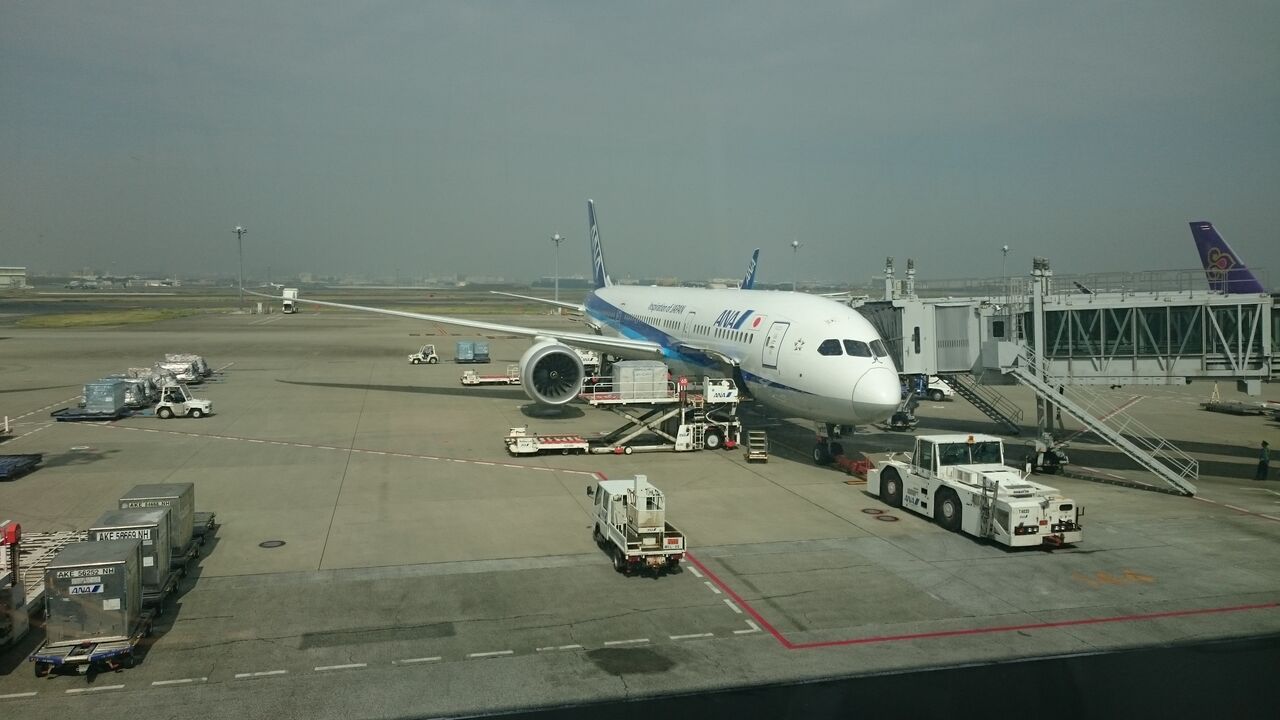 Ana 忘れていませんか 国際線航空券の特別対応 Sfc修行 ときどき観光