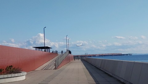 DSC_0462