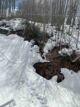 IMG_0362