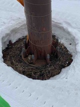 IMG_0368