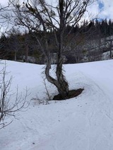 IMG_0367