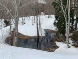 IMG_0370