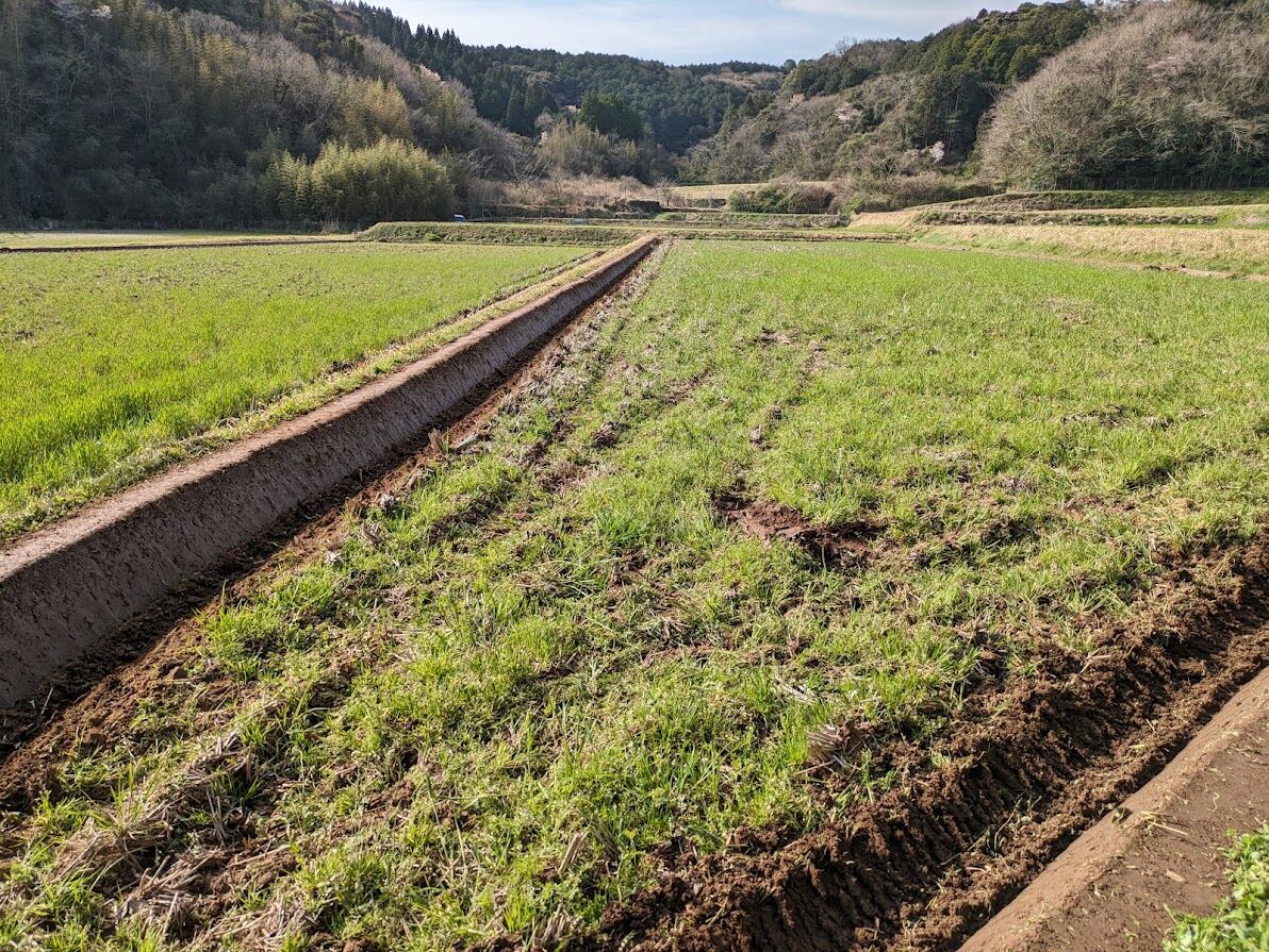 畦塗はじめました : 稲作と田舎の生活 （無農薬有機稲作）