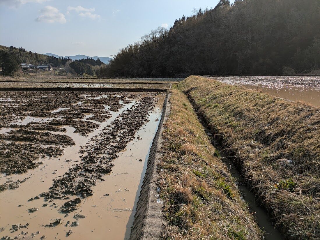 代かきはじめました : 稲作と田舎の生活 (無農薬有機稲作)