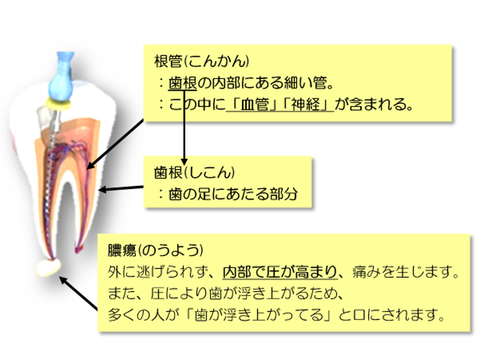 3.4
