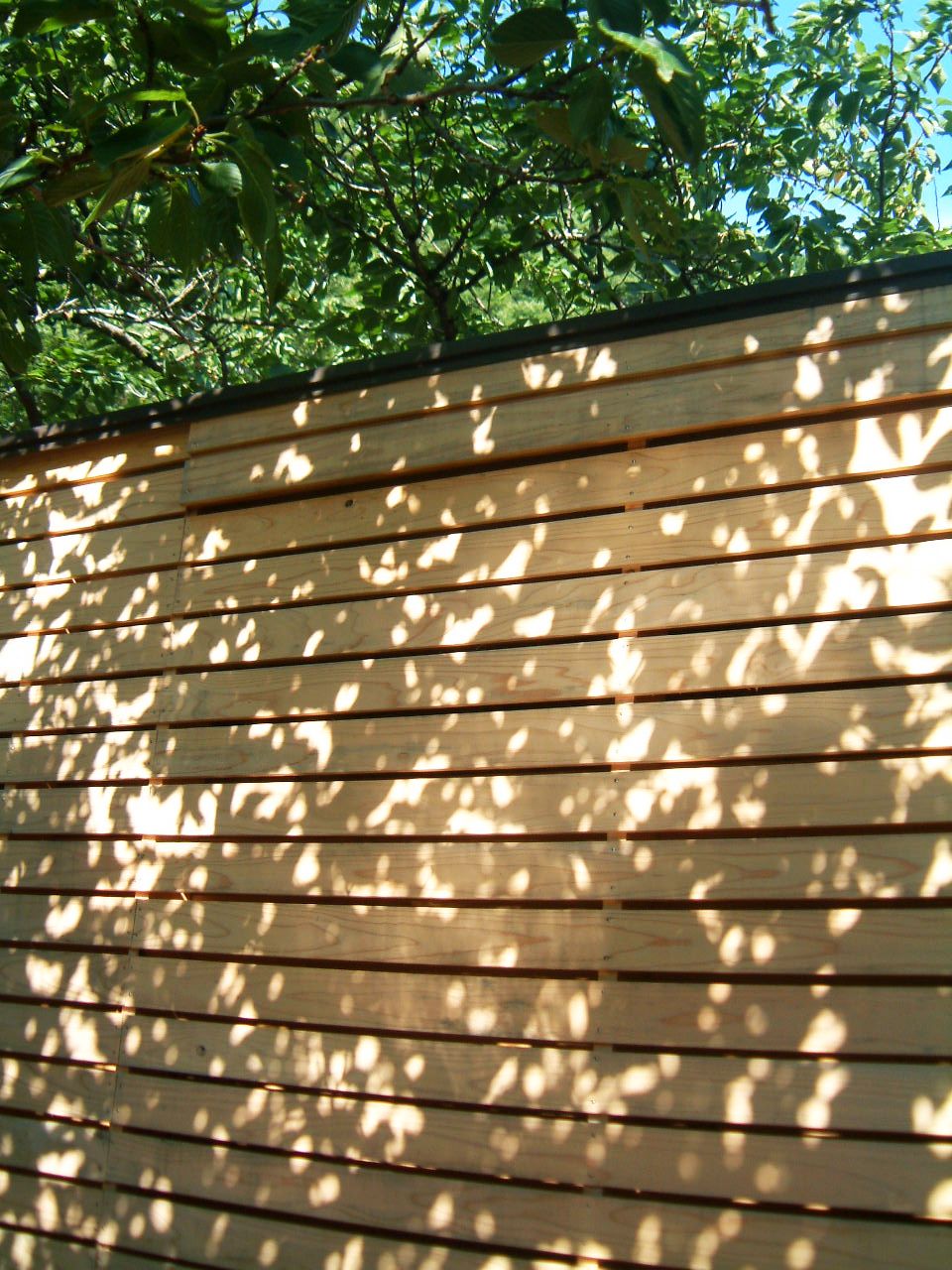 木漏れ日 交換日記