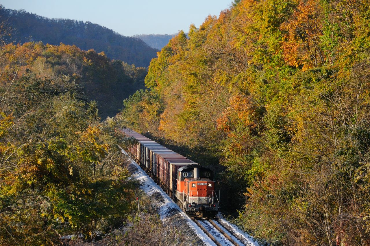 石北貨物を撮る１３１０１９ その１ クラッチ 鉄道貨物部屋
