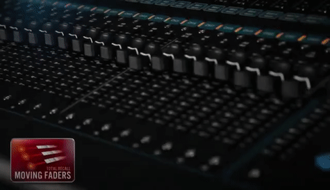 ShrillFortunateAldabratortoise-size_restricted