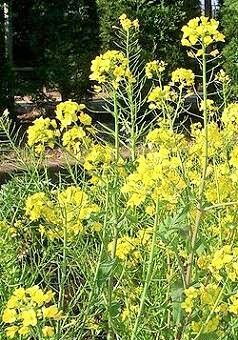 68dbd6d6653826db944482432ef9cc31