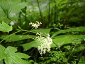 P7070724