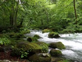 P7070714