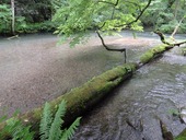 P7070728