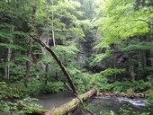 P7070718