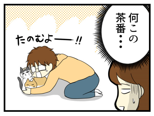 夫が一生懸命呼びかけていたのは猫たちでした