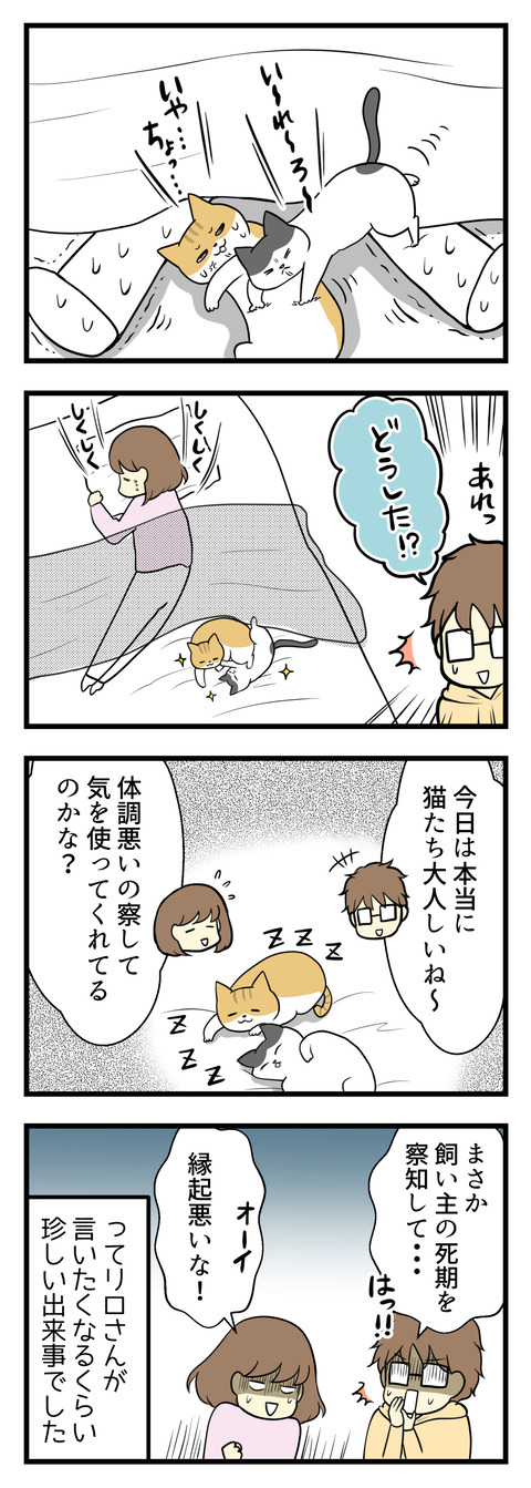 結局猫さんたちに寝場所を取られる・・・でも本当におとなしくしてくれていて助かりました。ネガティブ夫が「まさか飼い主の死期を察して・・・?」と疑心暗鬼になるほどに