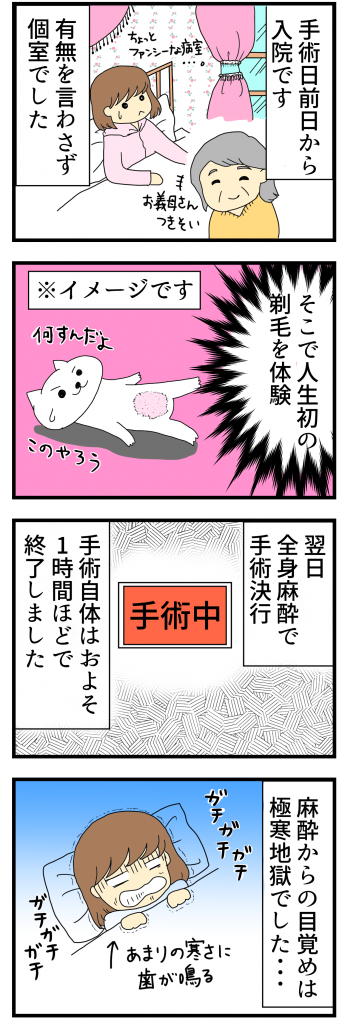 手術日の前日から入院、全身麻酔で決行!