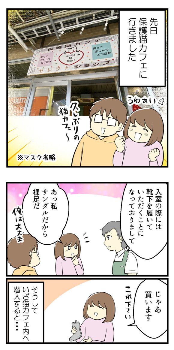 茨城県大洗シーサイドステーションにある保護猫カフェ「Smaile to heart」へ行きました