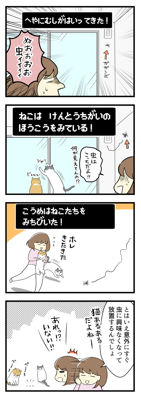 部屋にガガンボが入ってきた!猫は見当違いの方向を見ている!猫たちを虫がいる方へ連れて行ったのはいいけれど、きっと興味なくて放置なんだろうな~と思っていたら・・・