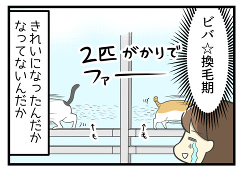 猫のナギももちろんやってきて2匹がかりでファーと抜け毛が窓に付着。きれいになったんだかなっていないんだか・・・な状況になりました。