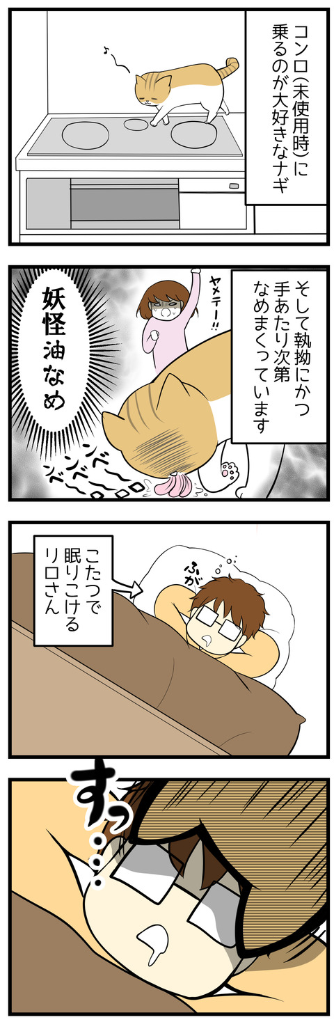 猫のナギはキッチンのコンロに上るのが大好き。そして油がいいのか、執拗にべろべろとなめまくっています。その姿は妖怪「油」なめ