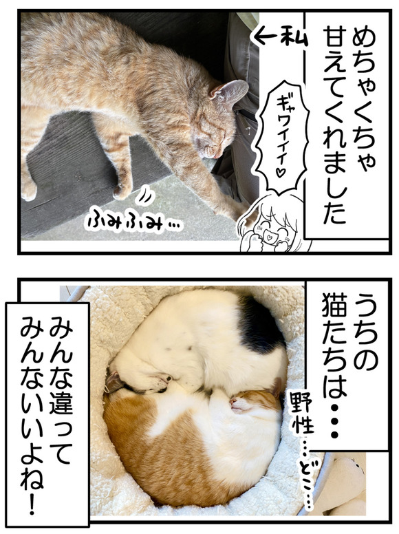 管理釣り場編_9